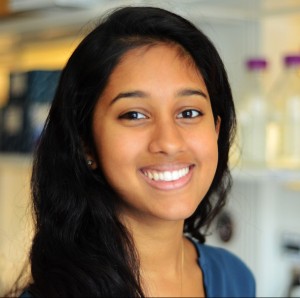 <center>Noor Momin</center>
