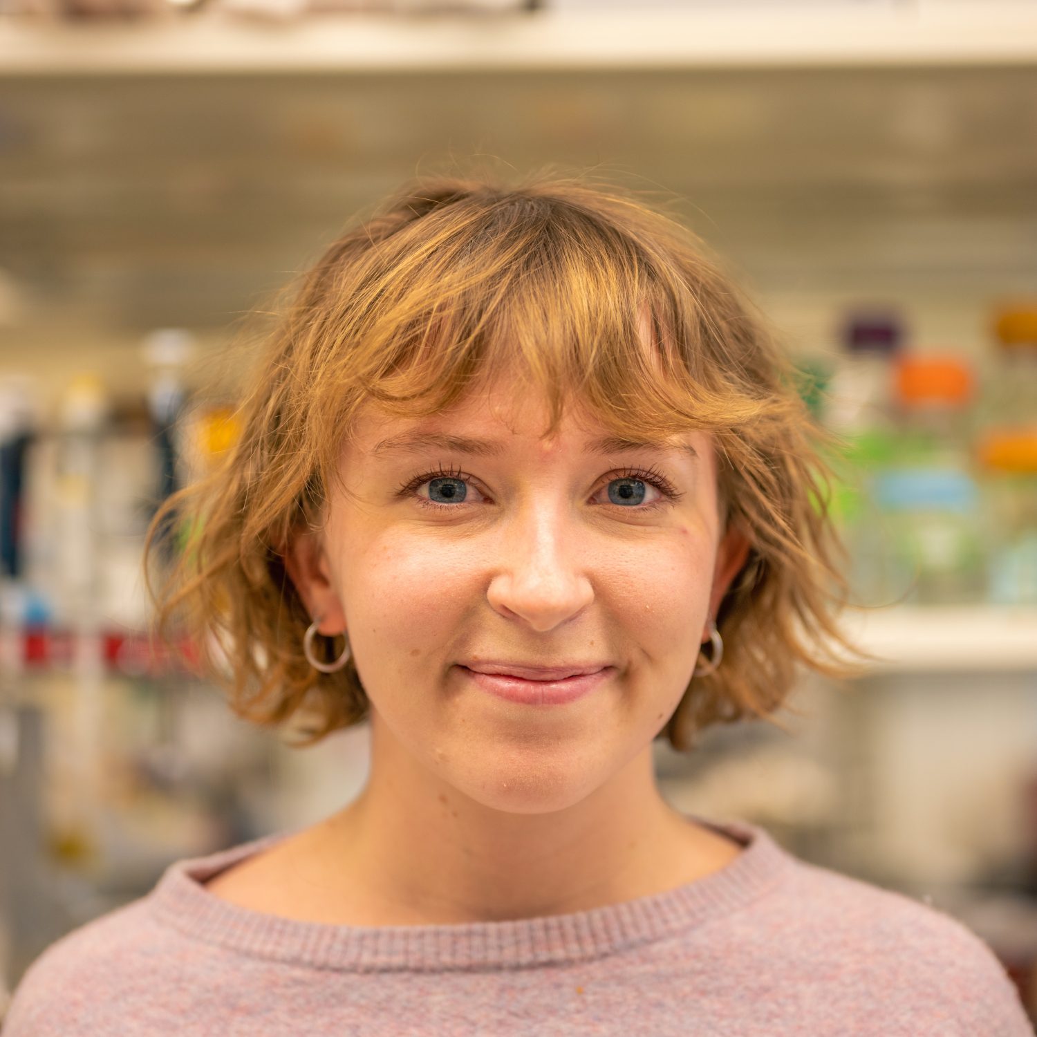 Elizabeth Fink Research Interests The Wittrup Lab