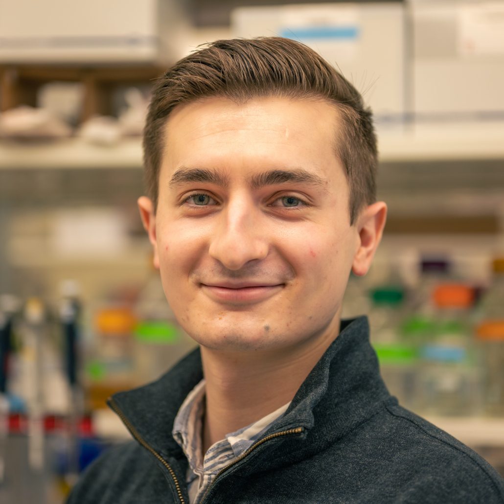 David Krum Research Interests The Wittrup Lab