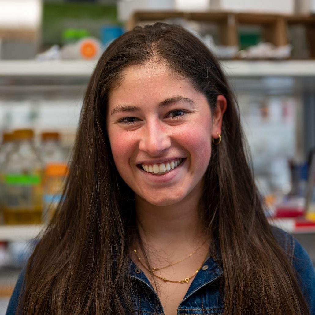 Cora Wendlandt Research Interests The Wittrup Lab